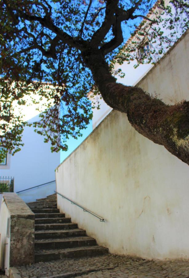 ホテル Casa Do Castelo Ourém エクステリア 写真